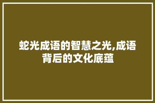 蛇光成语的智慧之光,成语背后的文化底蕴