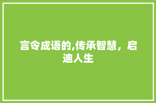言令成语的,传承智慧，启迪人生
