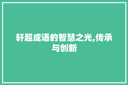 轩超成语的智慧之光,传承与创新
