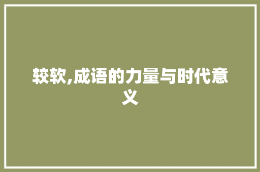 较软,成语的力量与时代意义