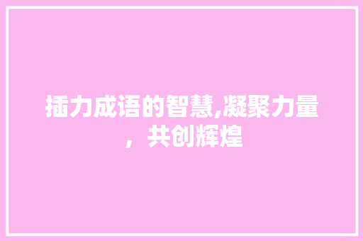 插力成语的智慧,凝聚力量，共创辉煌