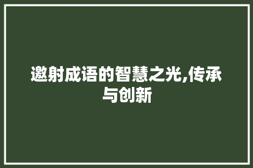 邀射成语的智慧之光,传承与创新