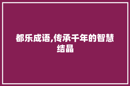 都乐成语,传承千年的智慧结晶