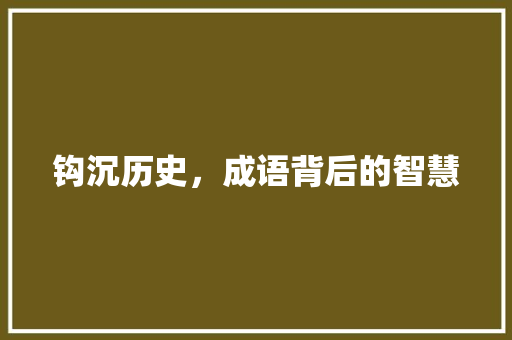 钩沉历史，成语背后的智慧