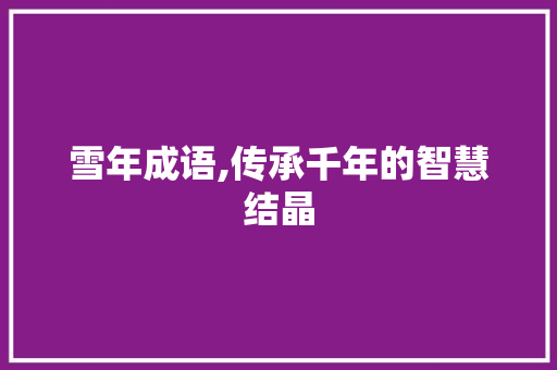 雪年成语,传承千年的智慧结晶 英语单词