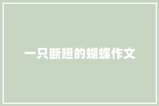 职业规划书执行计划,精准布局，迈向成功之路