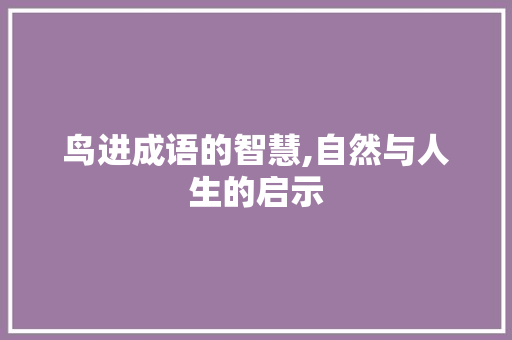 鸟进成语的智慧,自然与人生的启示