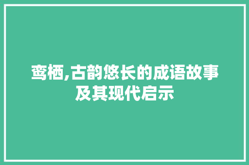 鸾栖,古韵悠长的成语故事及其现代启示