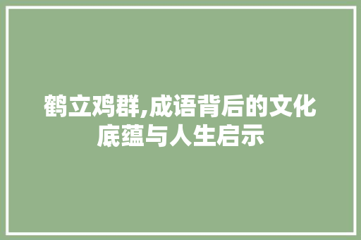 鹤立鸡群,成语背后的文化底蕴与人生启示