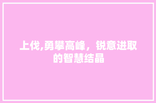 上伐,勇攀高峰，锐意进取的智慧结晶