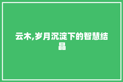 云木,岁月沉淀下的智慧结晶
