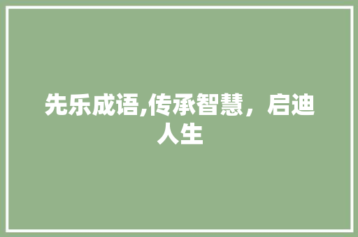 先乐成语,传承智慧，启迪人生