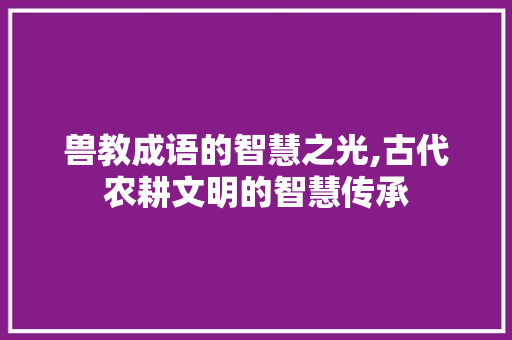 兽教成语的智慧之光,古代农耕文明的智慧传承