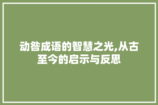 动咎成语的智慧之光,从古至今的启示与反思