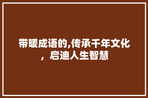 带暖成语的,传承千年文化，启迪人生智慧 英语单词