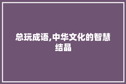 总玩成语,中华文化的智慧结晶