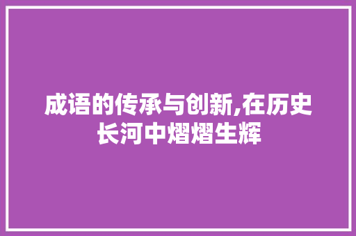 成语的传承与创新,在历史长河中熠熠生辉