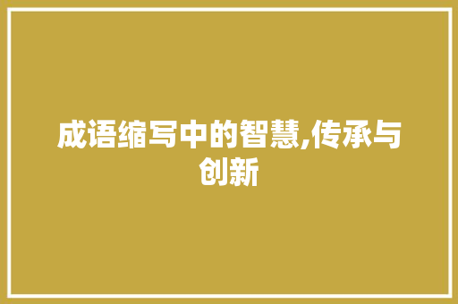 成语缩写中的智慧,传承与创新