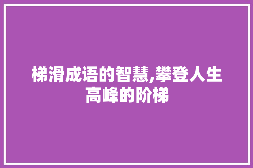 梯滑成语的智慧,攀登人生高峰的阶梯