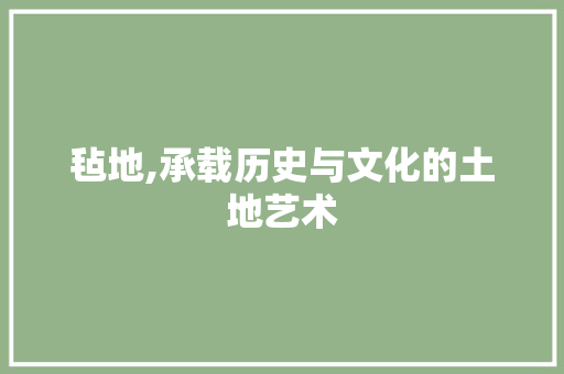 毡地,承载历史与文化的土地艺术