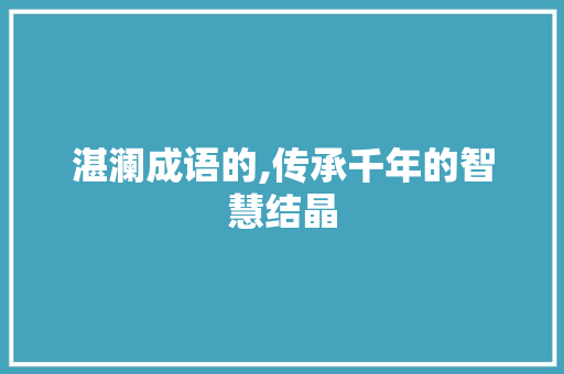 湛澜成语的,传承千年的智慧结晶