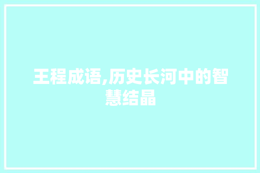 王程成语,历史长河中的智慧结晶