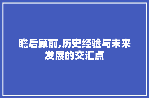瞻后顾前,历史经验与未来发展的交汇点