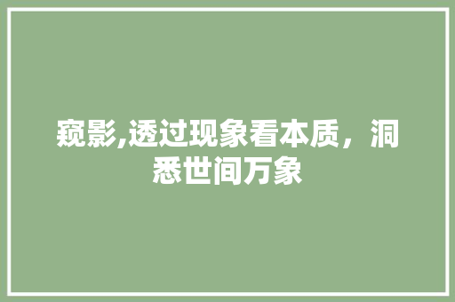 窥影,透过现象看本质，洞悉世间万象