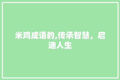 米鸡成语的,传承智慧，启迪人生