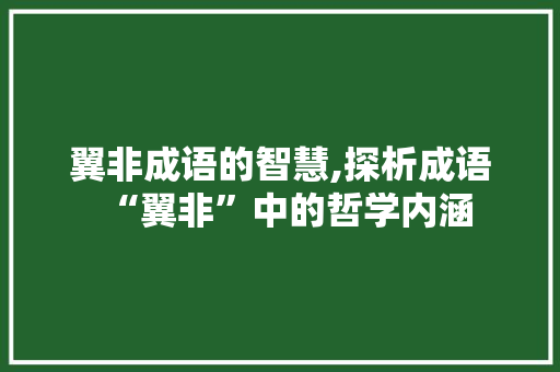 翼非成语的智慧,探析成语“翼非”中的哲学内涵