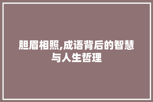 胆眉相照,成语背后的智慧与人生哲理 反义词汇