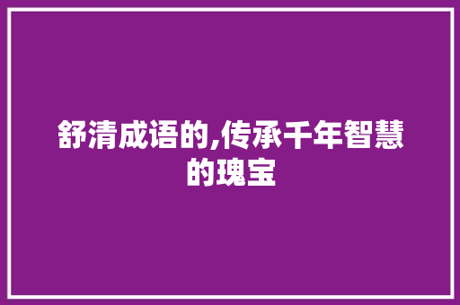 舒清成语的,传承千年智慧的瑰宝