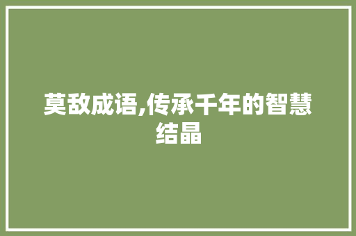 莫敌成语,传承千年的智慧结晶