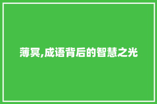 薄冥,成语背后的智慧之光 短语