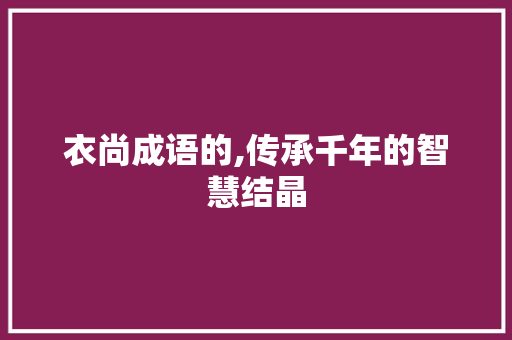 衣尚成语的,传承千年的智慧结晶 英语单词