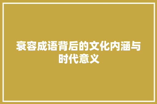 衰容成语背后的文化内涵与时代意义 英语单词