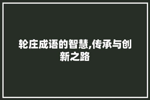 轮庄成语的智慧,传承与创新之路
