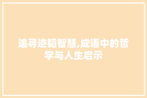 追寻迹韬智慧,成语中的哲学与人生启示 反义词汇