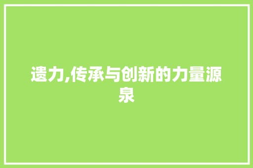 遗力,传承与创新的力量源泉