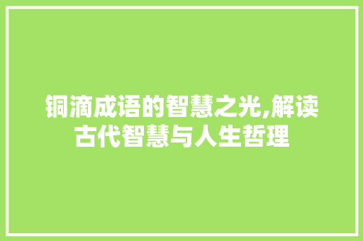 铜滴成语的智慧之光,解读古代智慧与人生哲理