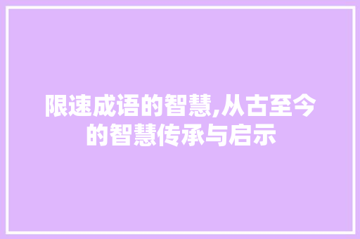 限速成语的智慧,从古至今的智慧传承与启示