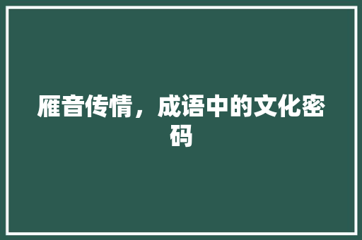 雁音传情，成语中的文化密码
