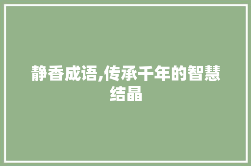静香成语,传承千年的智慧结晶 汉字拼音