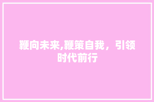 鞭向未来,鞭策自我，引领时代前行