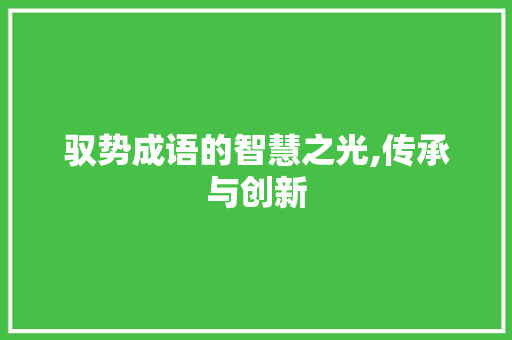 驭势成语的智慧之光,传承与创新