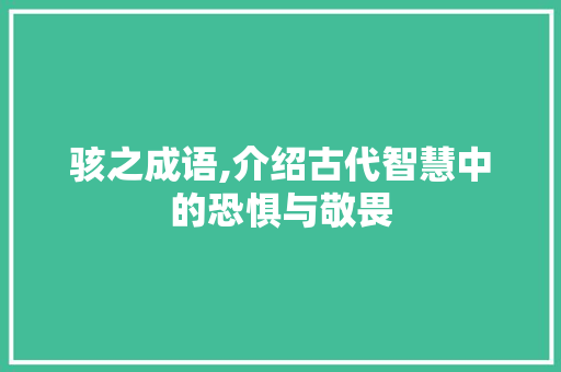 骇之成语,介绍古代智慧中的恐惧与敬畏
