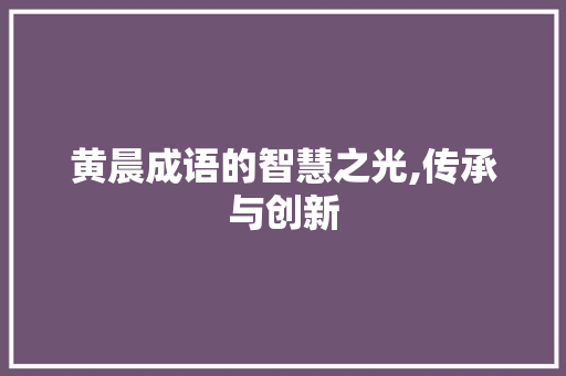 黄晨成语的智慧之光,传承与创新 成语汇编
