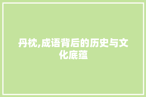 丹枕,成语背后的历史与文化底蕴