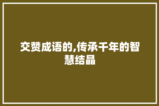 交赞成语的,传承千年的智慧结晶