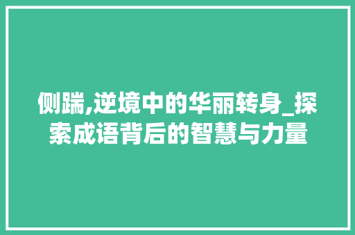 侧踹,逆境中的华丽转身_探索成语背后的智慧与力量